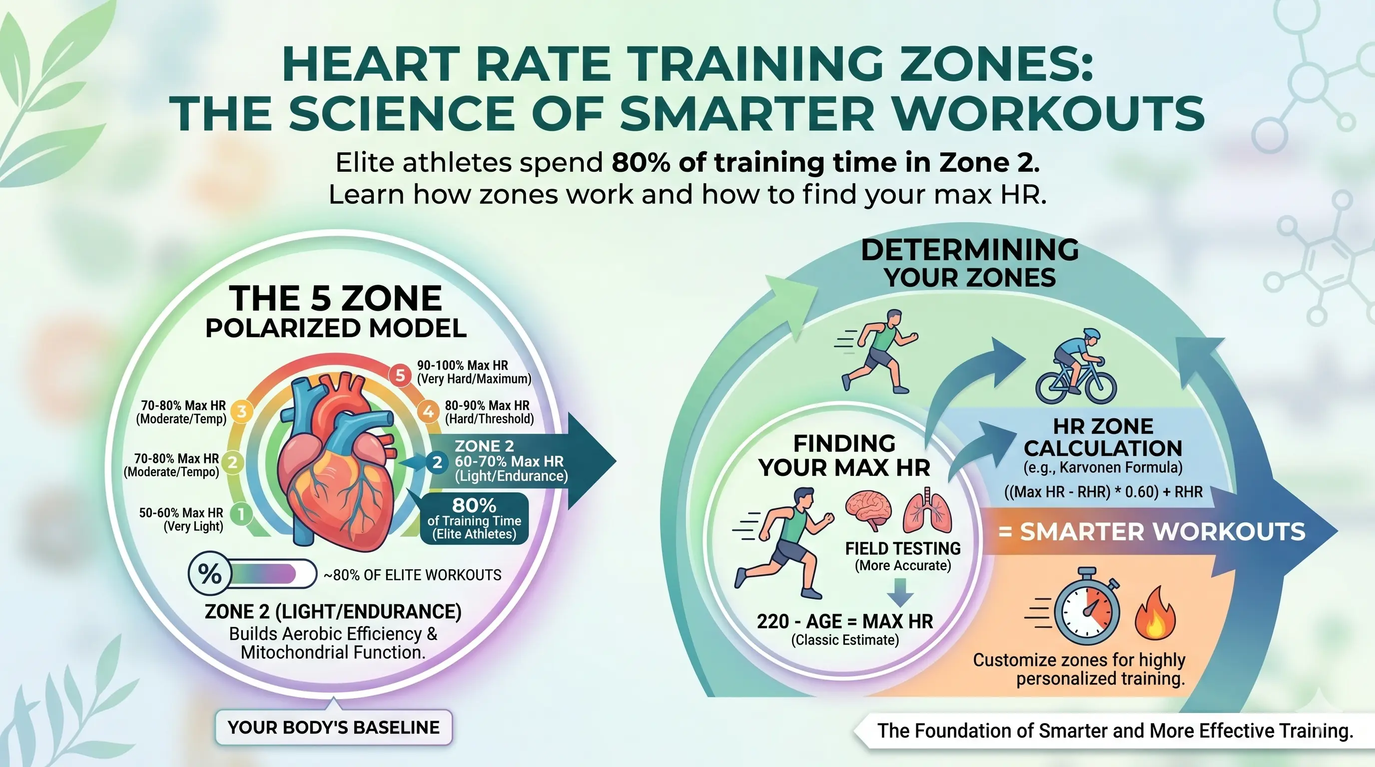 Heart Rate Training Zones: The Science of Smarter Workouts